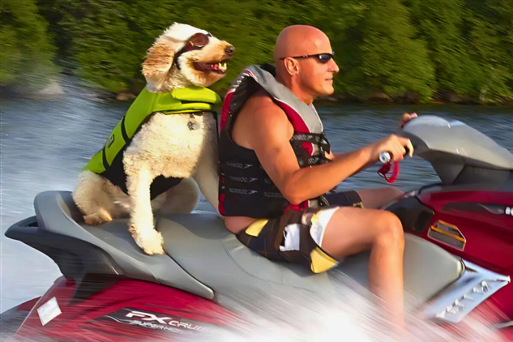 Things To Do Island Water Sports Rentals